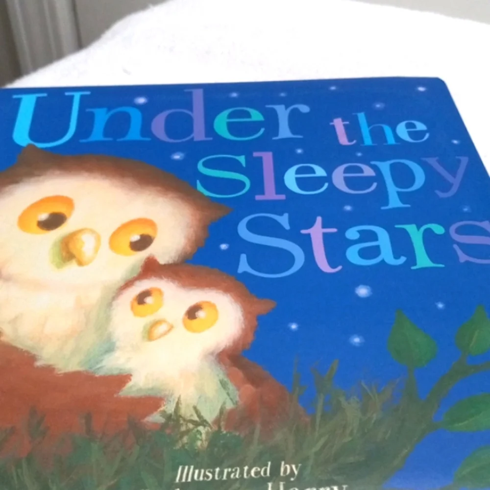 2 Kids Book Lot